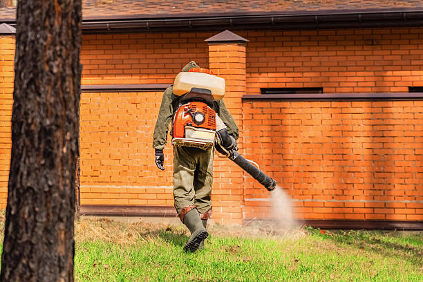 Top rated local Mosquito Control specialists in Fairview, NJ